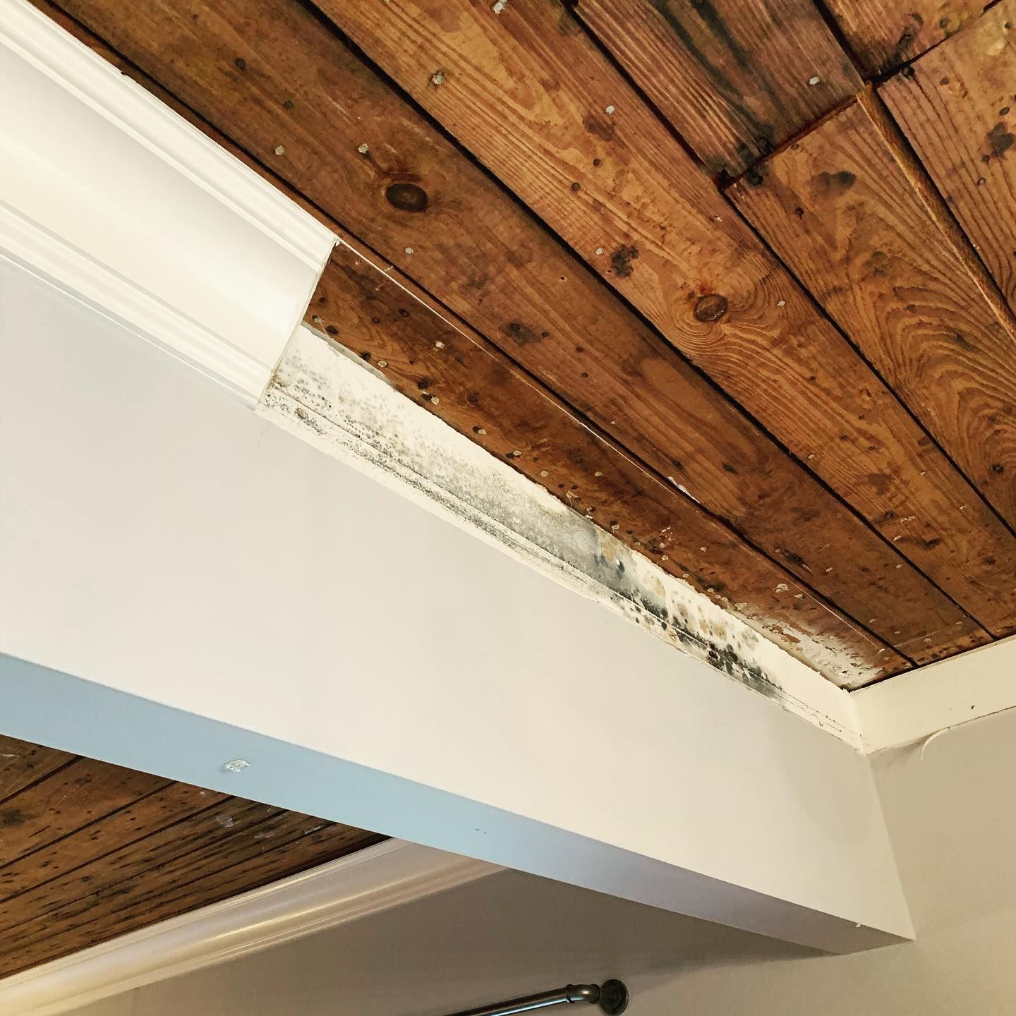 Wood ceiling with white crown molding and damaged wall.