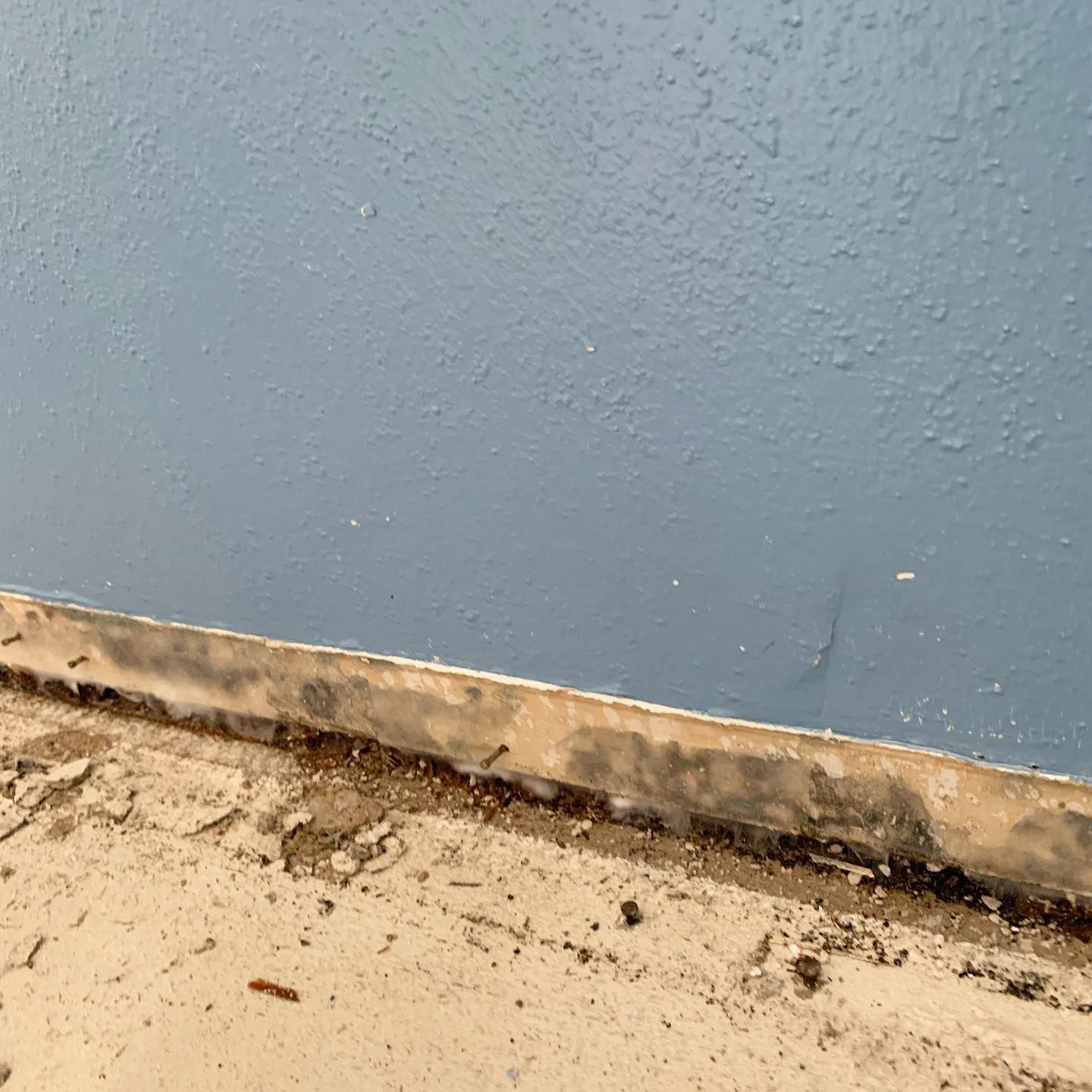 Baseboard and wall with visible water damage and debris; blue wall, light brown floor.