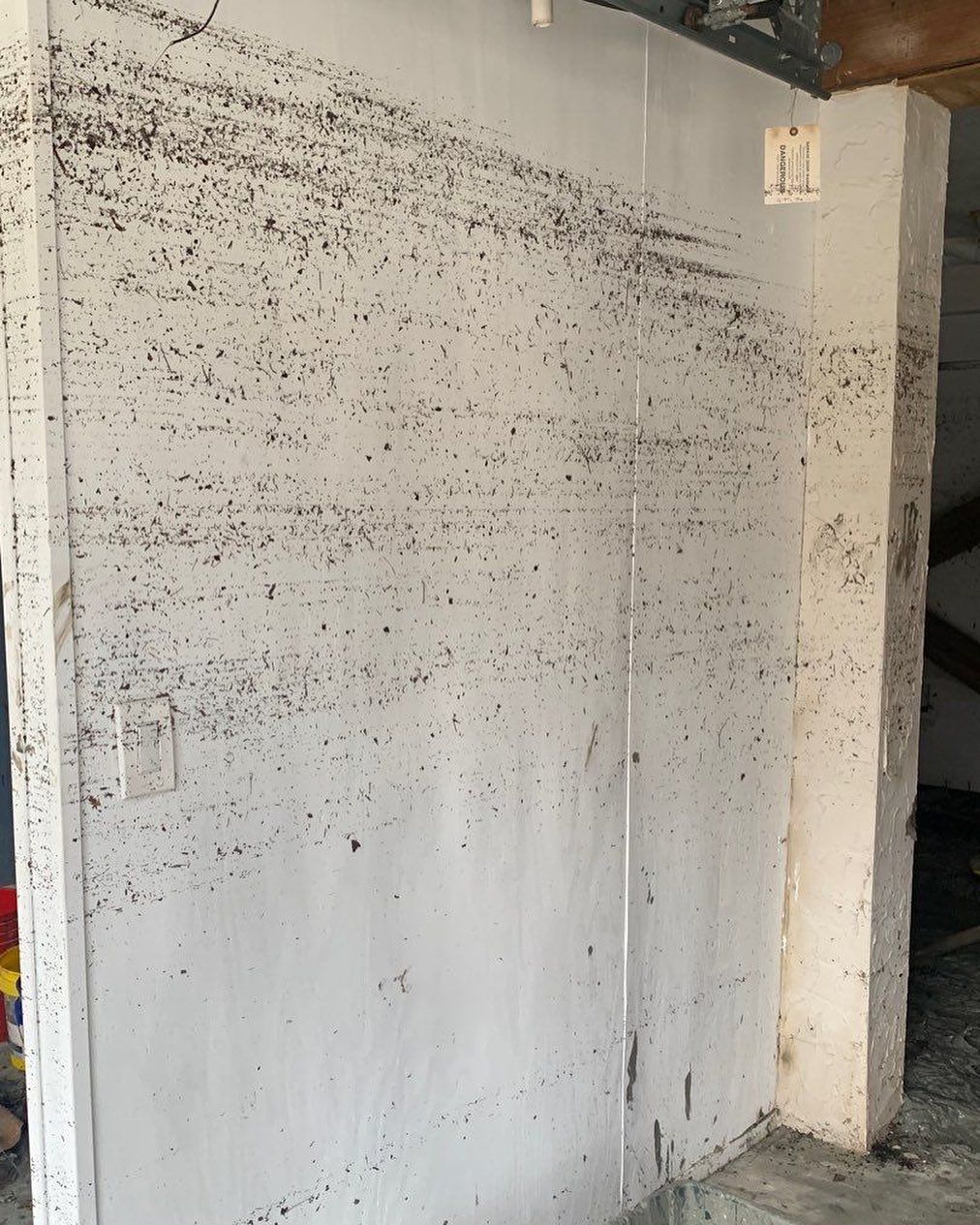 Wall covered in black dots, possibly insect droppings, on a white surface.
