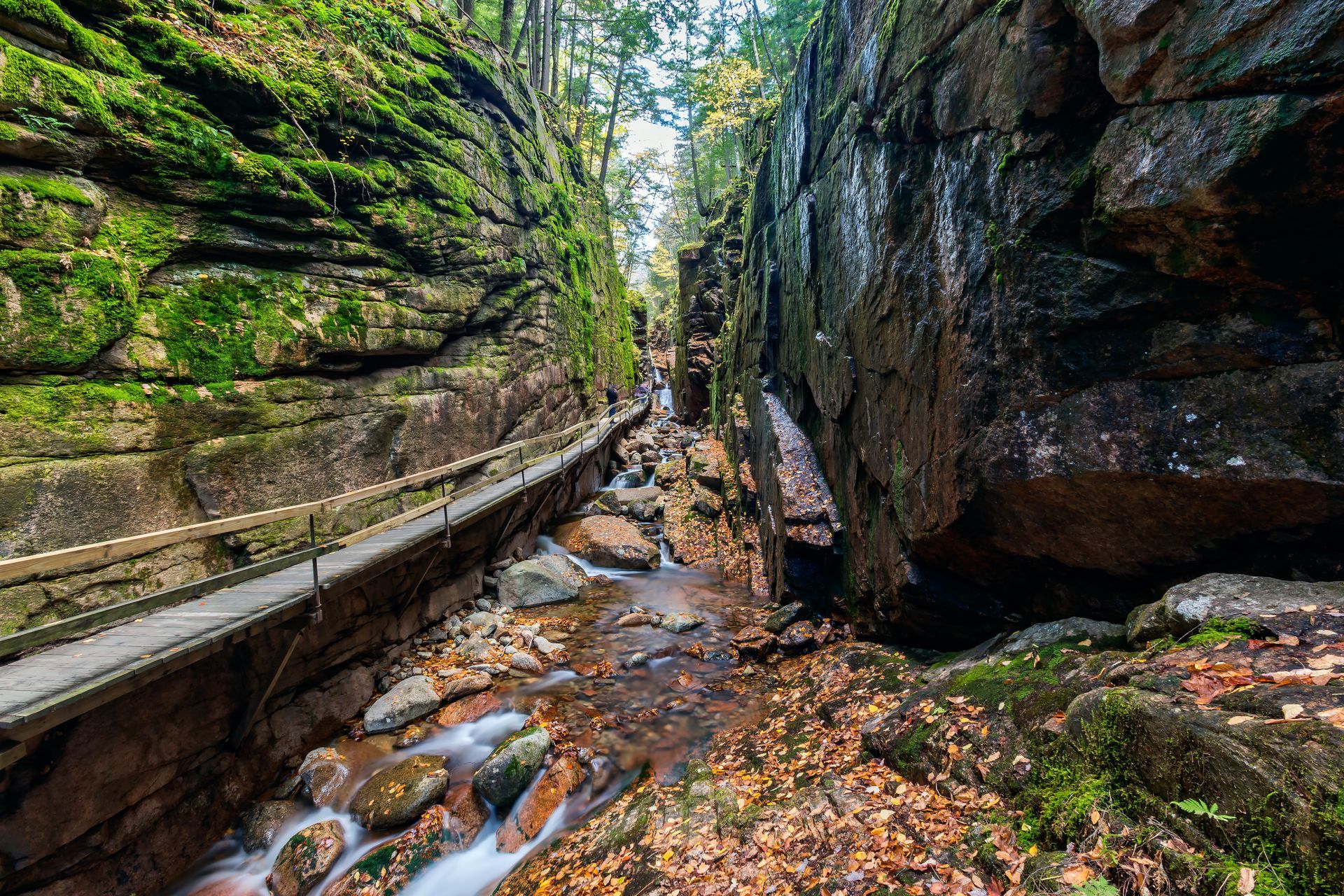 A river running through a narrow canyon surrounded by rocks and moss.