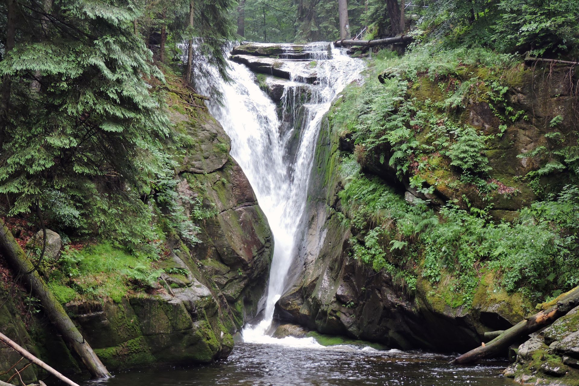 A waterfall is surrounded by trees and rocks in the middle of a forest.