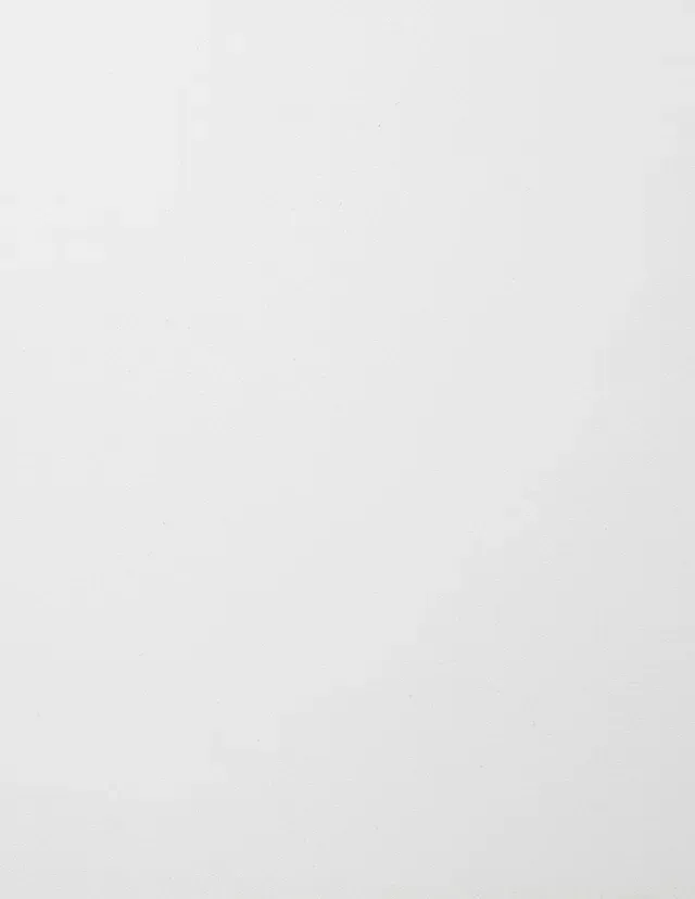 White Garage Cabinet Finish