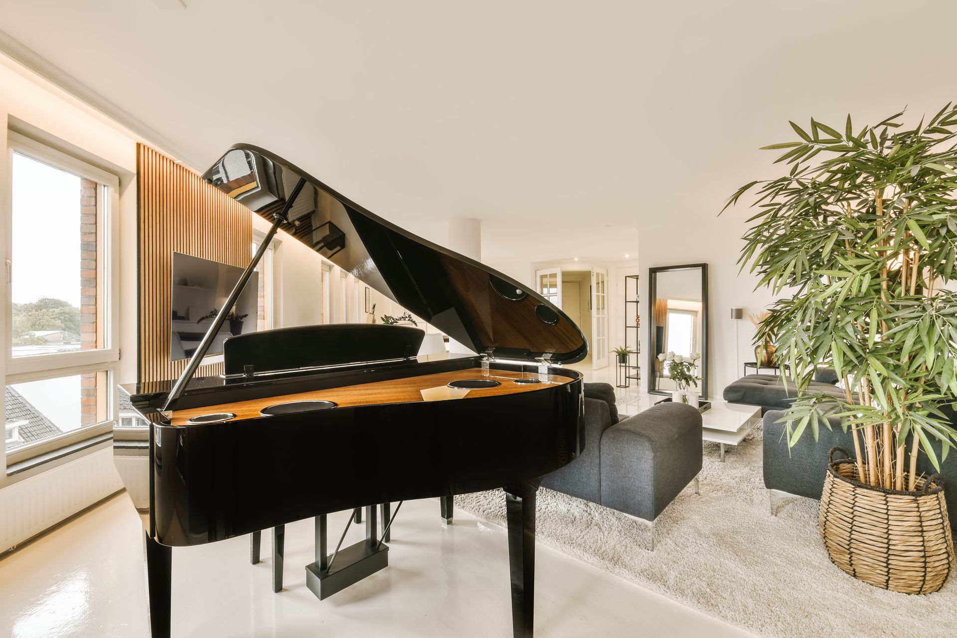 A grand piano is sitting in a living room next to a plant.