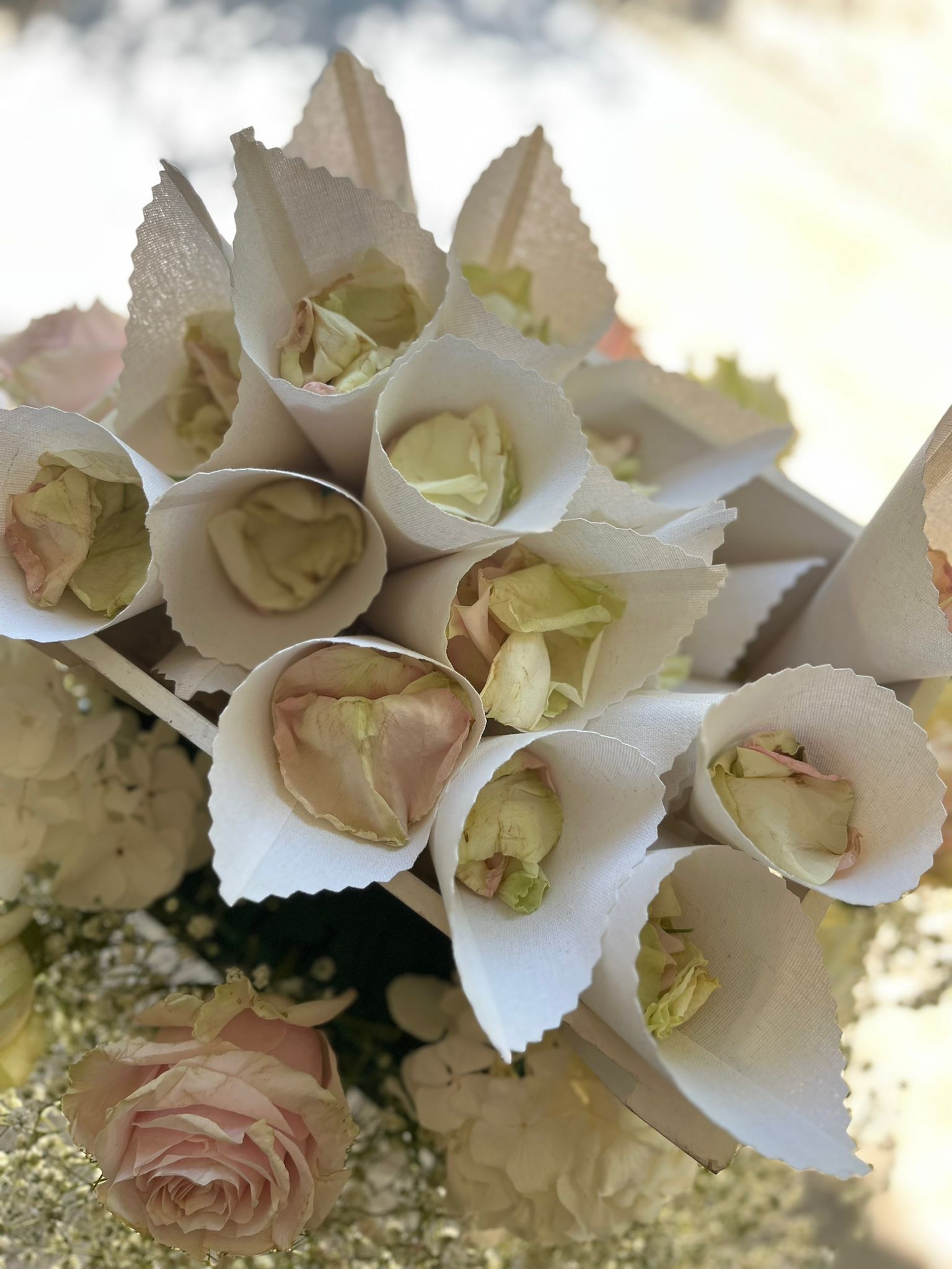Coni di carta bianca riempiti di petali di rosa, disposti come coriandoli per matrimoni.