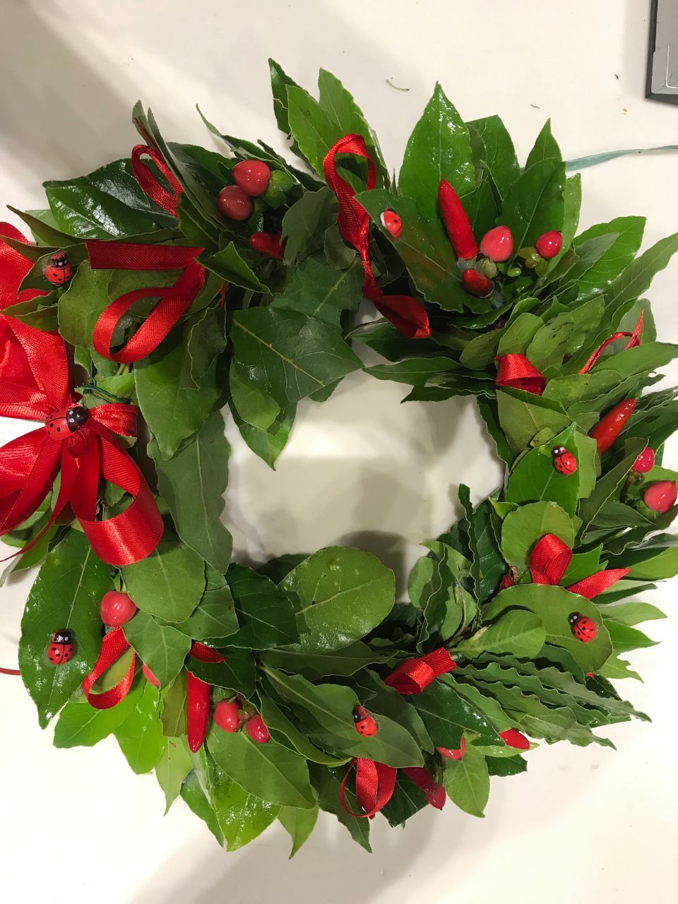 corona di alloro per laurea