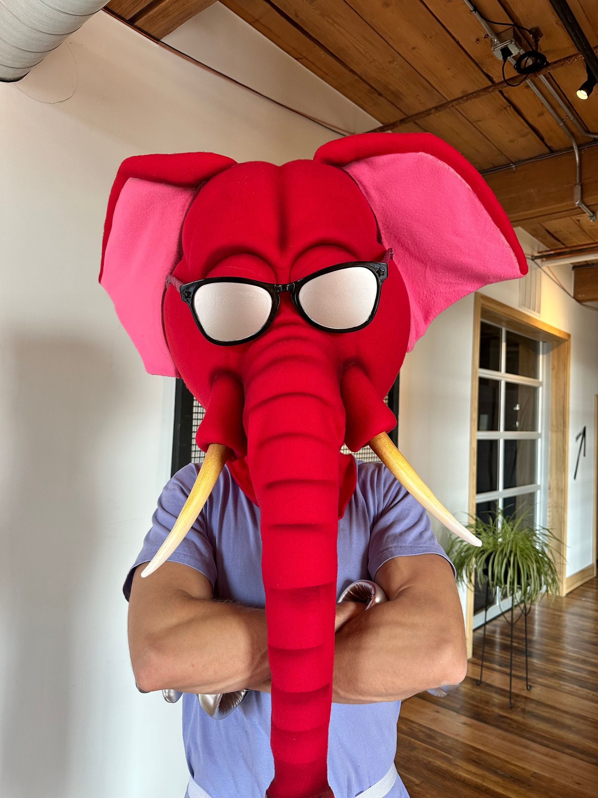 A man wearing a red elephant mask with glasses