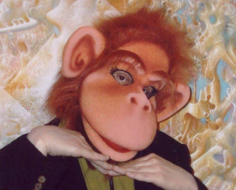 A close up of a person wearing a monkey mask