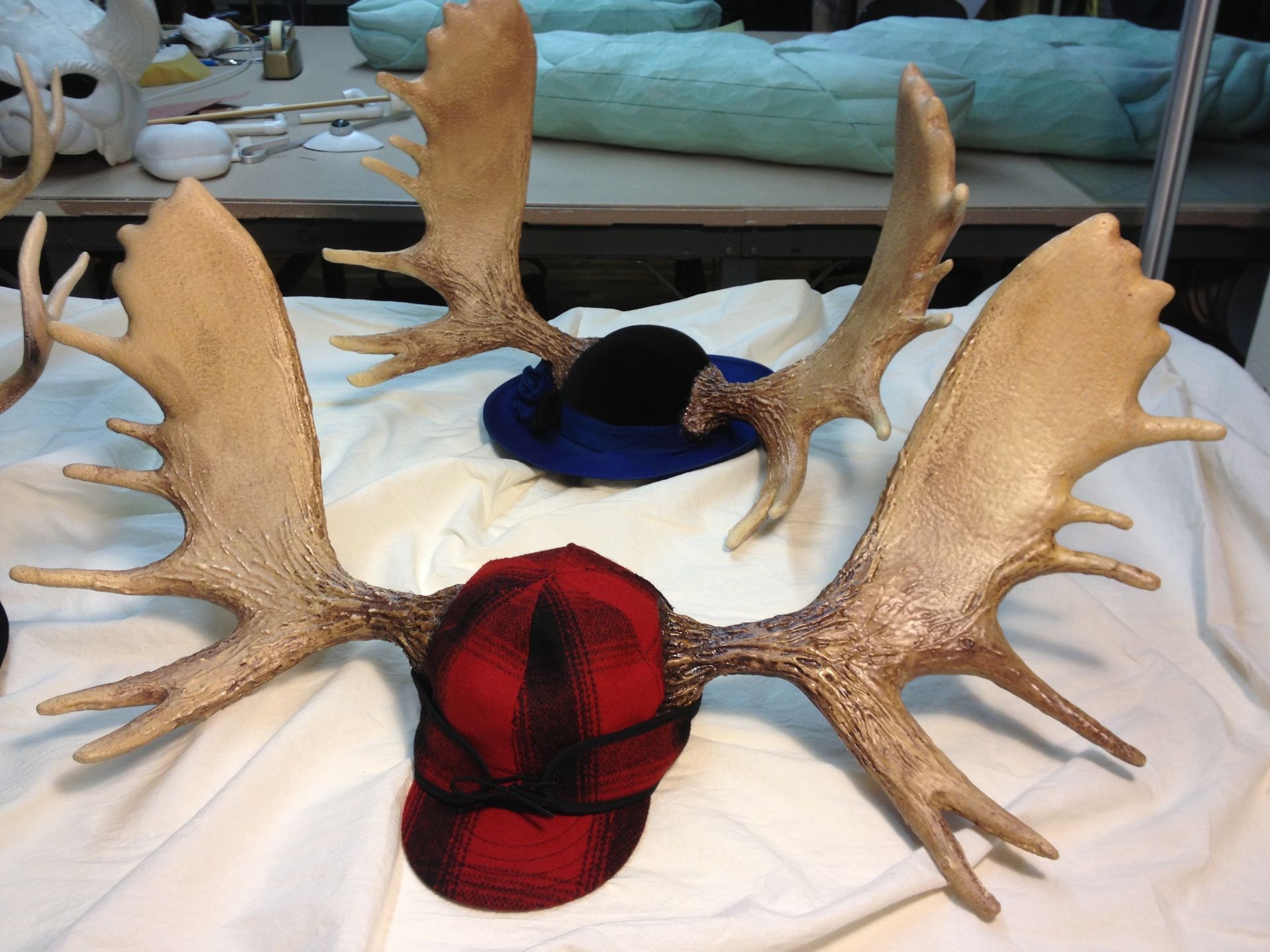 A moose antlers with two hats on top of them