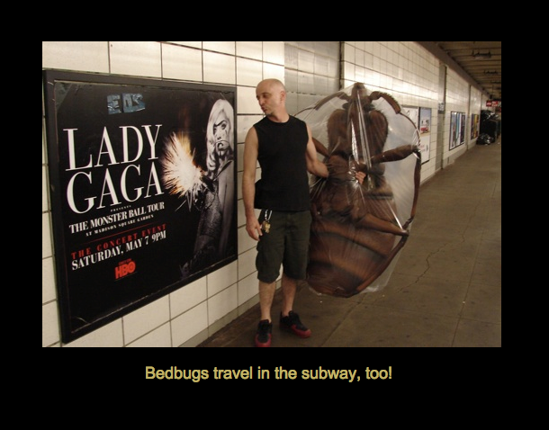 A man holding a bedbug in front of a lady gaga poster
