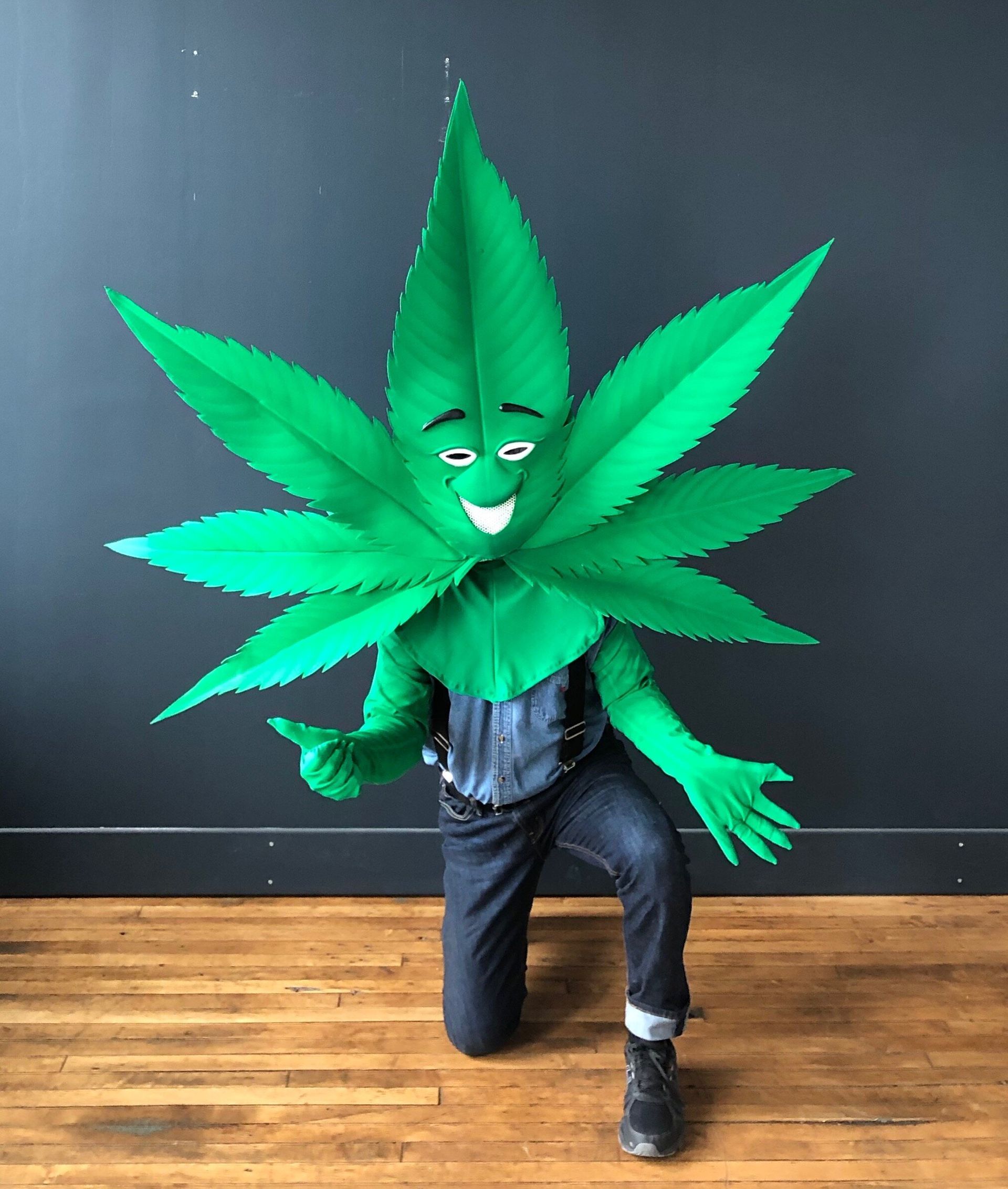 marijuans costume