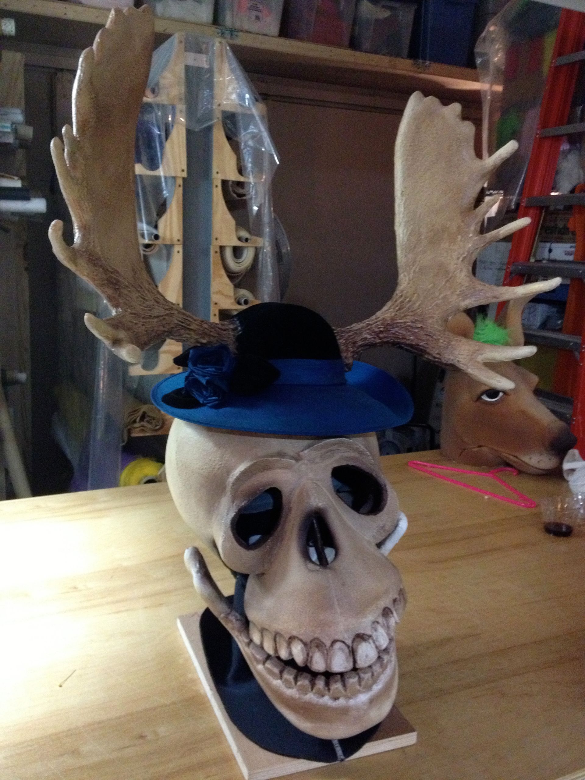 A skull with moose antlers wearing a blue hat
