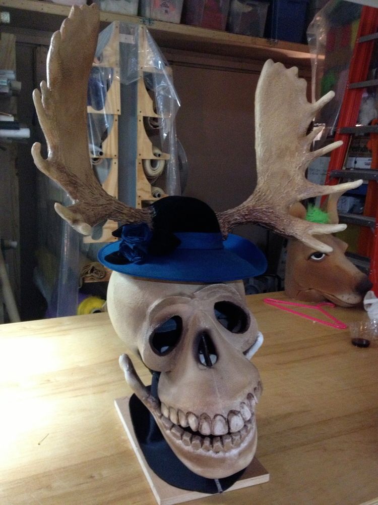 A skull with moose antlers wearing a blue hat