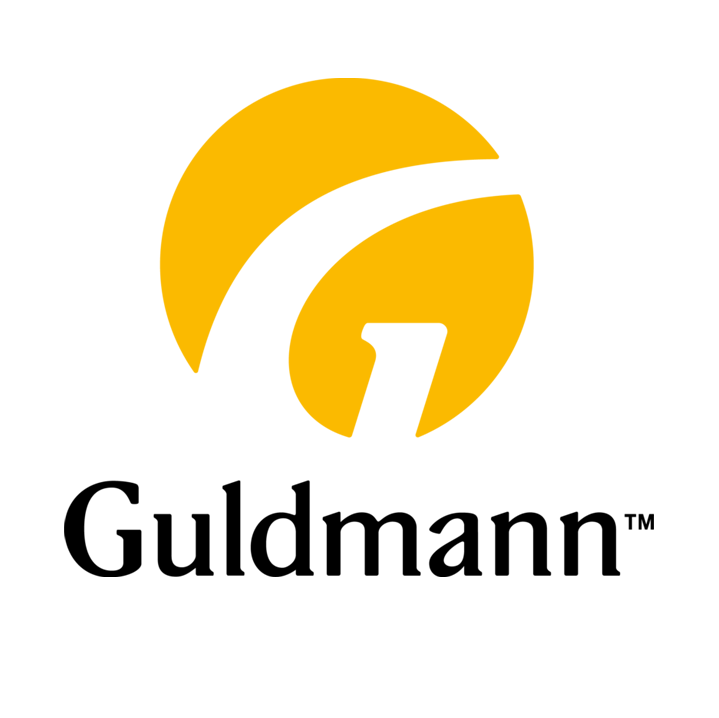 Logo guldmann levier sur rail arjo
