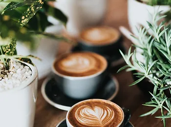 three cups of coffee are sitting on a wooden table next to potted plants .