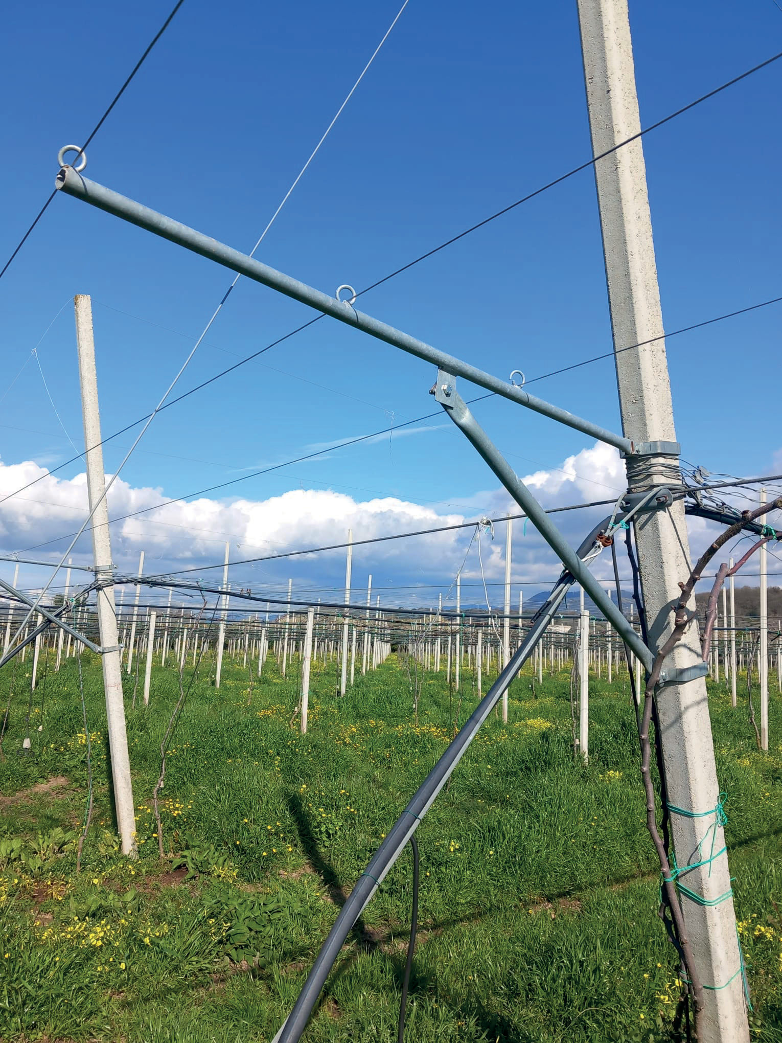 Accessori per Impianti Kiwi