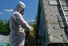 asbestos removal contractors