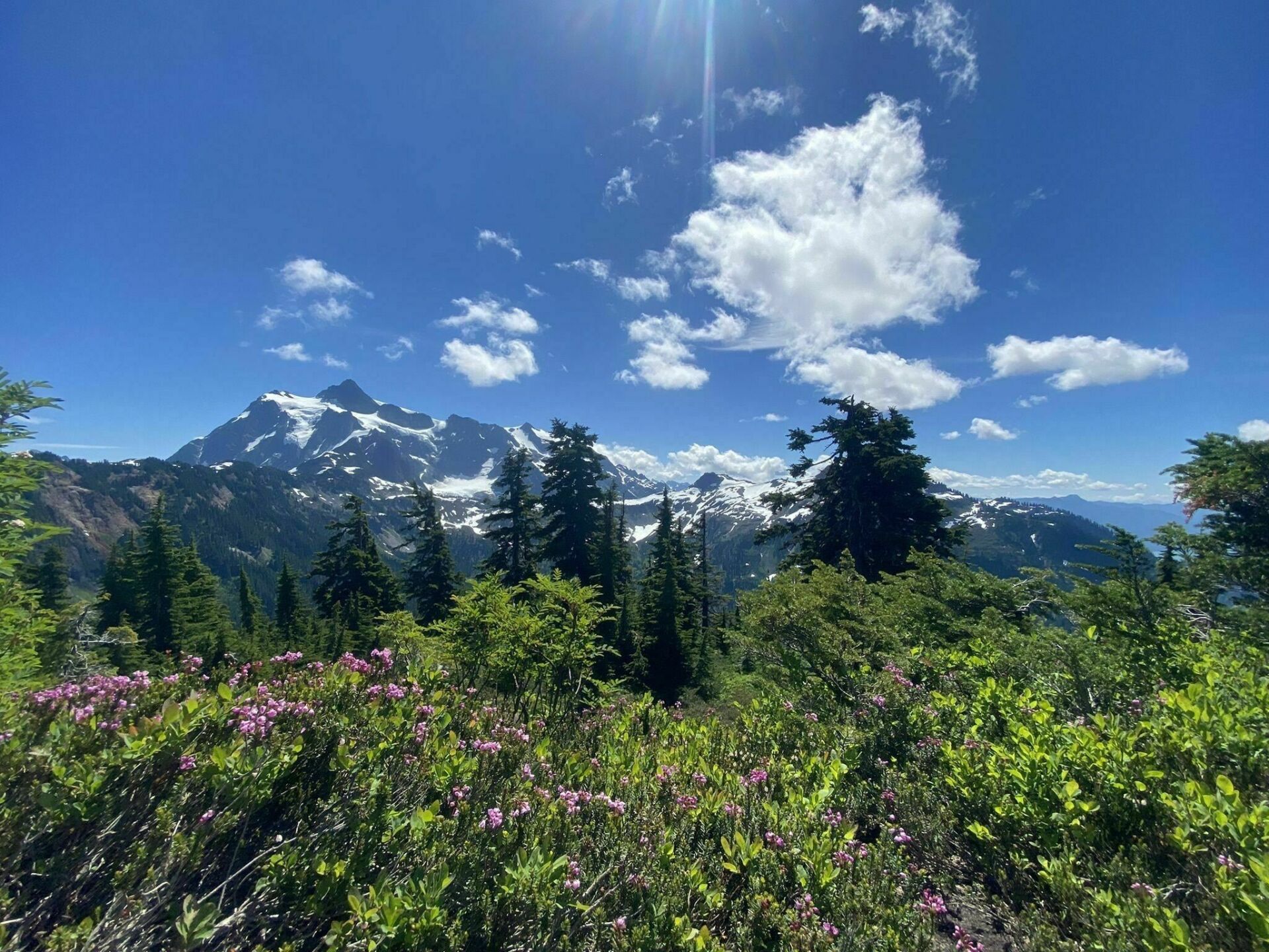 Heather Meadows and Artist Point Trail