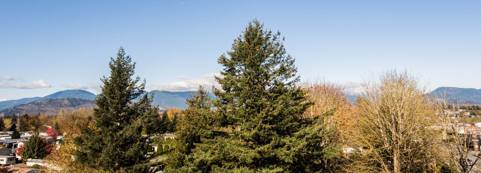 Skynest 360 degree views