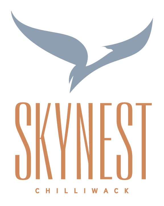 Skynest Logo