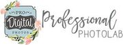 Pro Digital Photos Logo 