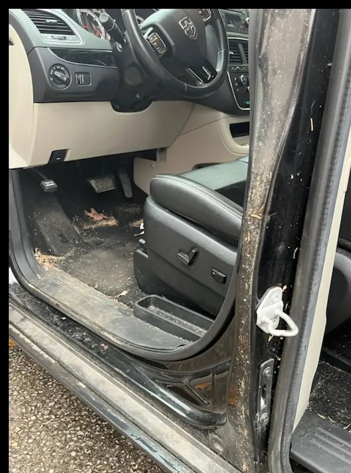 Best Interior Car Detailing Valparaiso Professional Auto Detailing