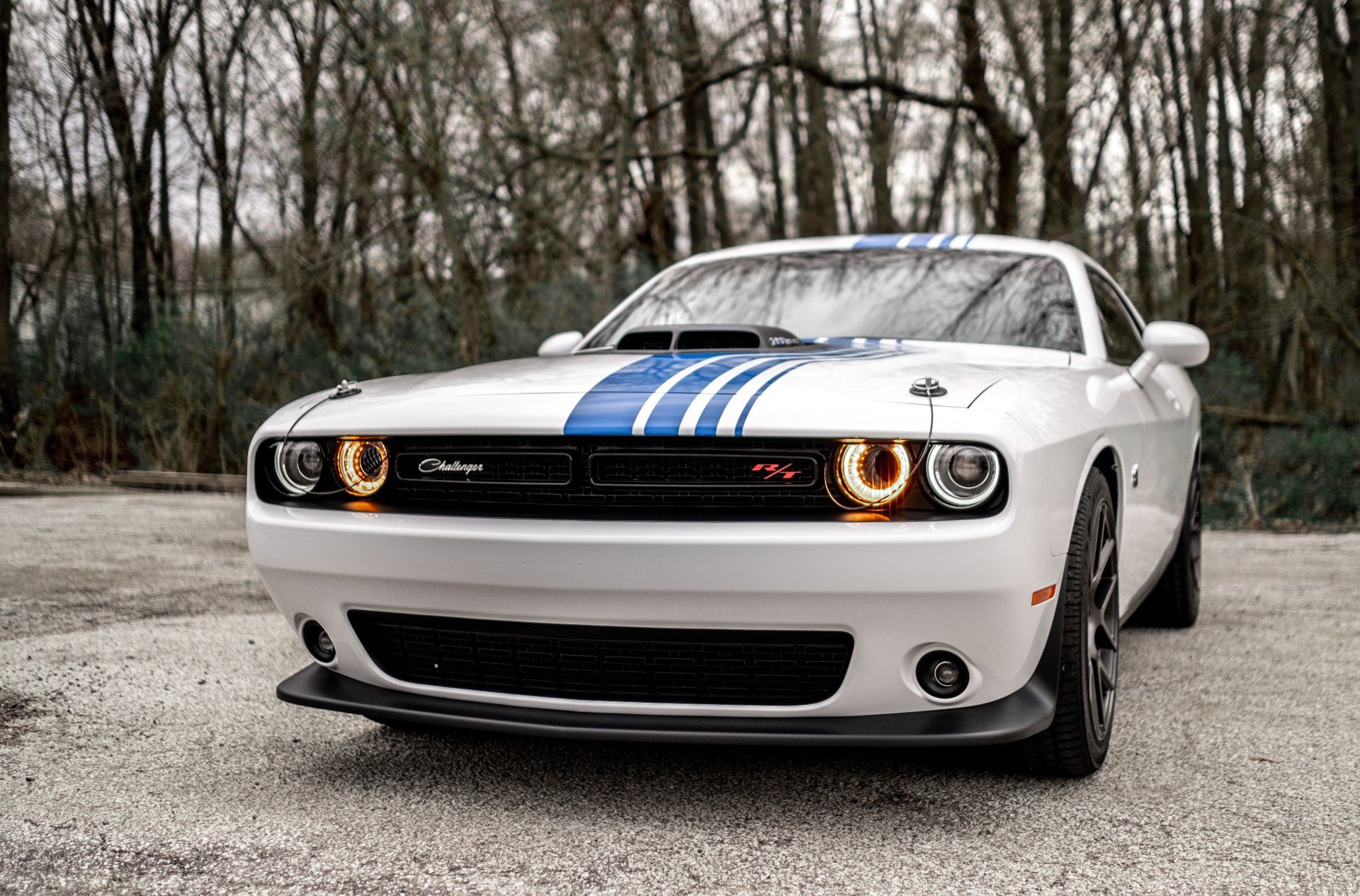 Definitive Details Ceramic Coating Car Detailing Valparaiso, IN