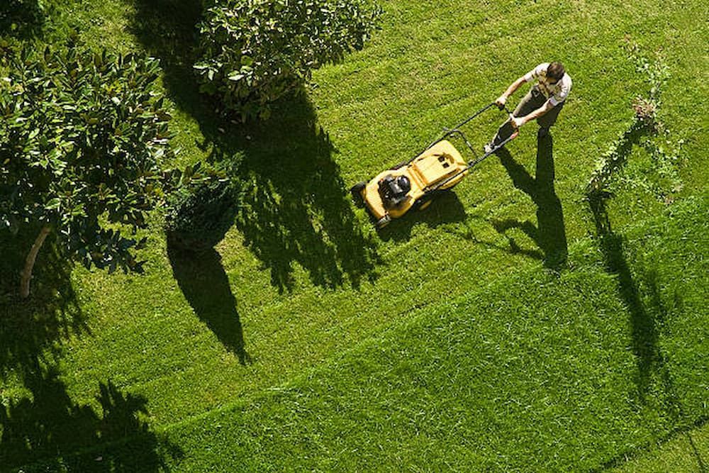 An Aerial View Of A Man Mowing A Lush Green Lawn With A Yellow Lawn Mower — Southern Turf Supplies In Bermagui, NSW