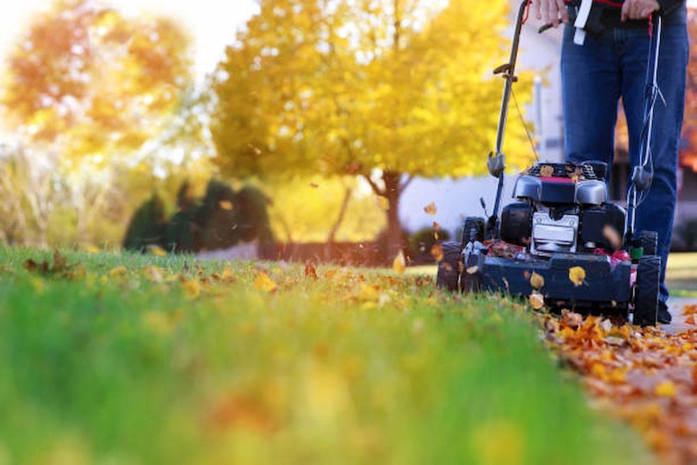 A Man Is Mowing His Lawn With A Lawn Mower — Southern Turf Supplies In Moruya, NSW