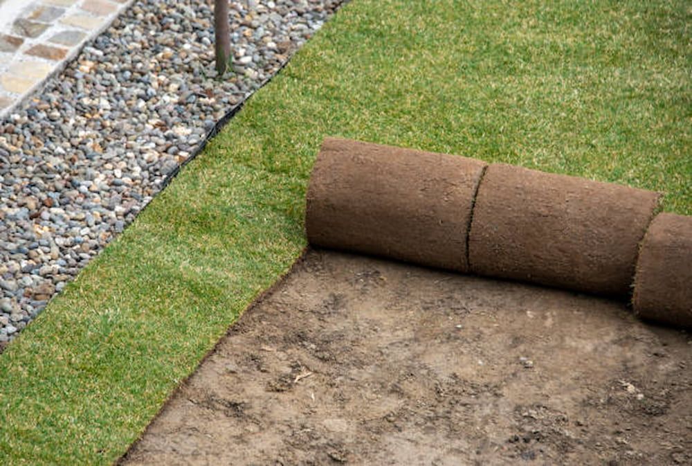 A Roll Of Turf Is Sitting On Top Of A Pile Of Dirt — Southern Turf Supplies In Bodalla, NSW