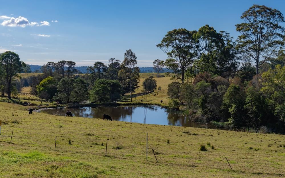 A Small Pond In The Middle Of A Grassy Field Surrounded By Trees — Southern Turf Supplies In Bodalla, NSW