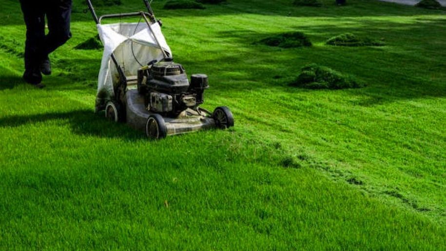 A Man Is Mowing A Lush Green Lawn With A Lawn Mower — Southern Turf Supplies In Bodalla, NSW