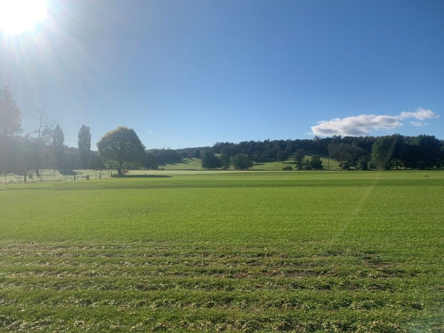 A Vibrant Green Field Under a Bright Blue Sky — Southern Turf Supplies In Bodalla, NSW