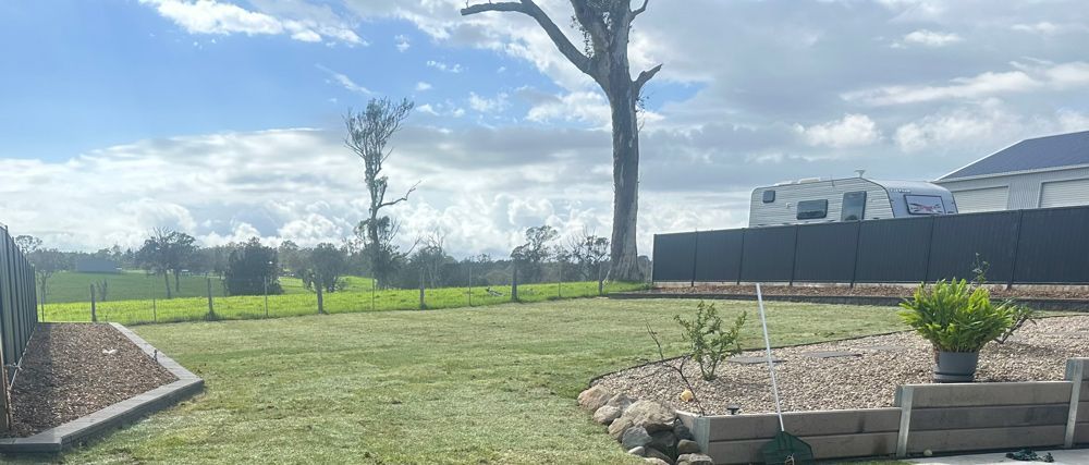 Backyard After Laying the Turf