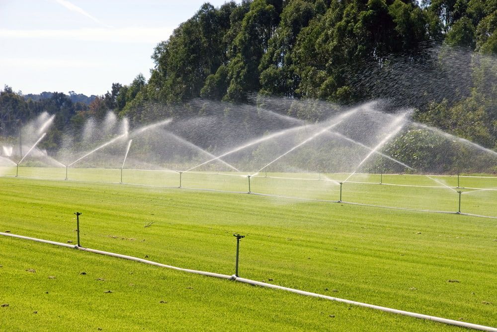A Field Of Grass Is Being Watered With Sprinklers — Southern Turf Supplies In Ulladulla, NSW