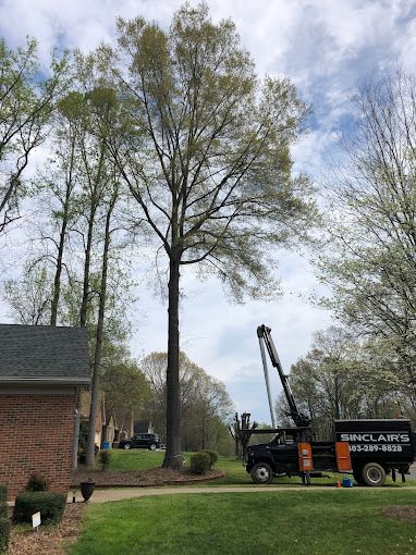 Crane tree removal in Lancaster, SC - Sinclair's Tree Removal and Stump Grinding hard at work