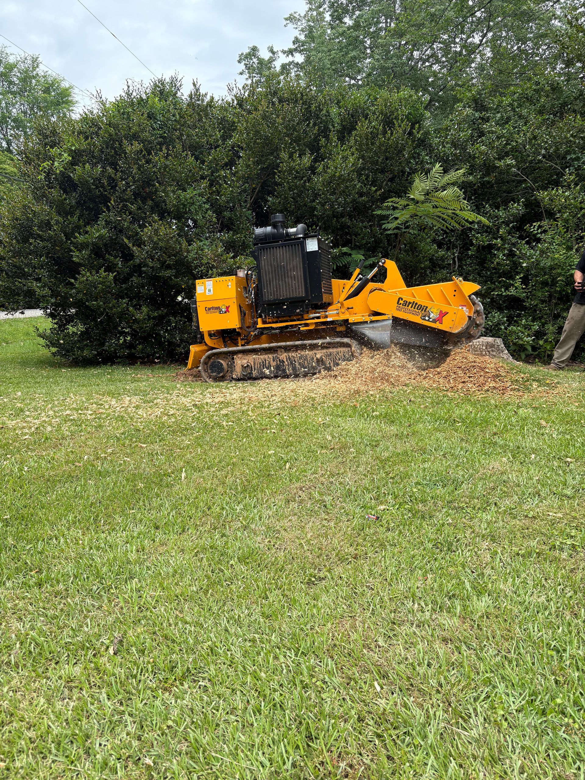 Stump grinding in Lancaster, SC by Sinclair's Tree Removal and Stump Grinding 