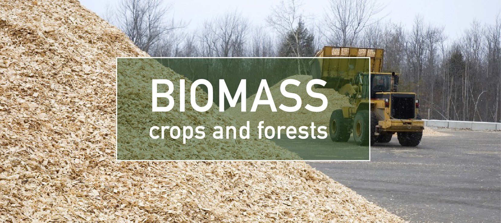 Biomass - pyrolysis applications