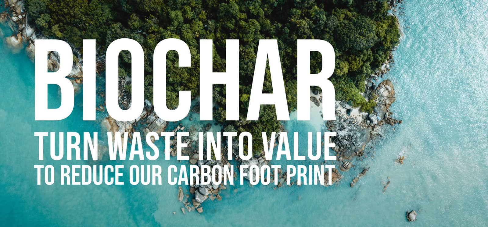 Biochar - turn waste into value