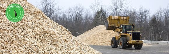 biomass pyrolysis