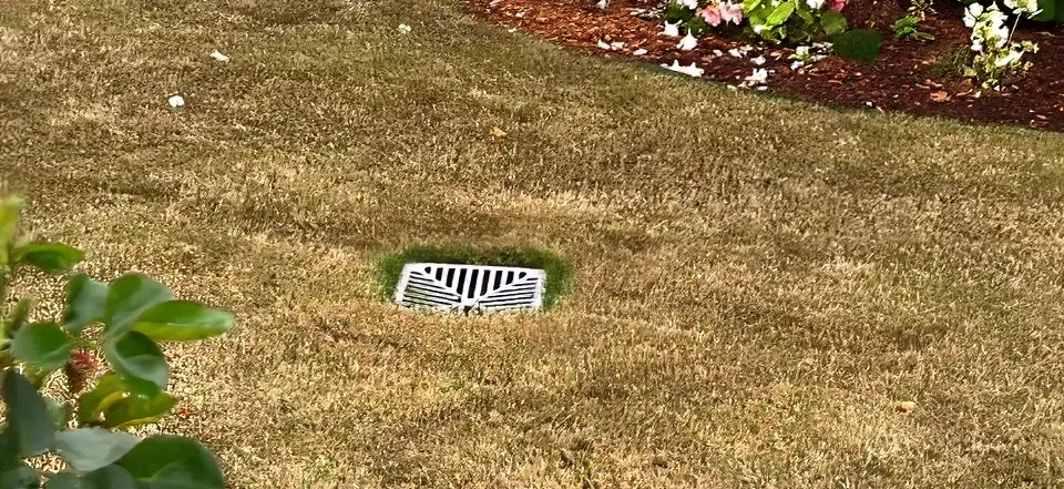 Water flowing from a rusty pipe into a body of water, near grass.