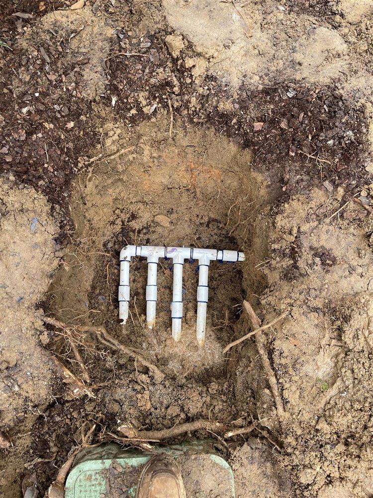 Buried irrigation manifold with four vertical outlets in a soil pit.