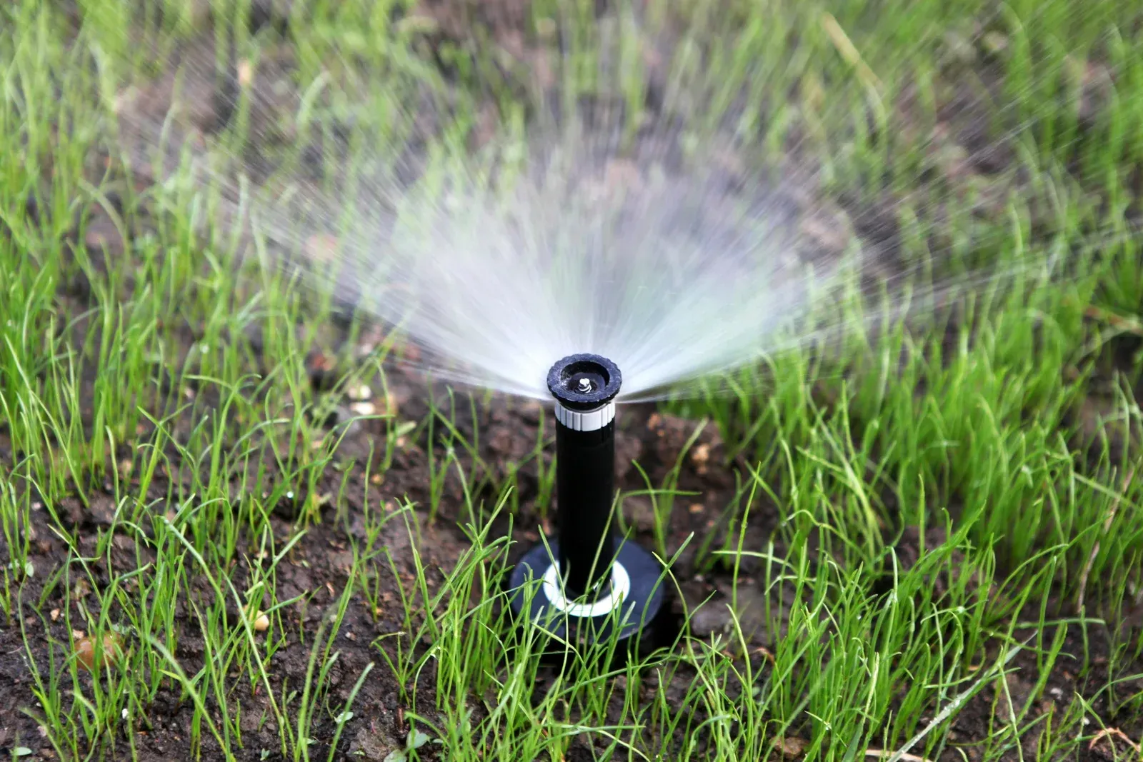 Trench dug in red dirt with pipes laid inside for a landscaping project near a curb and bush.