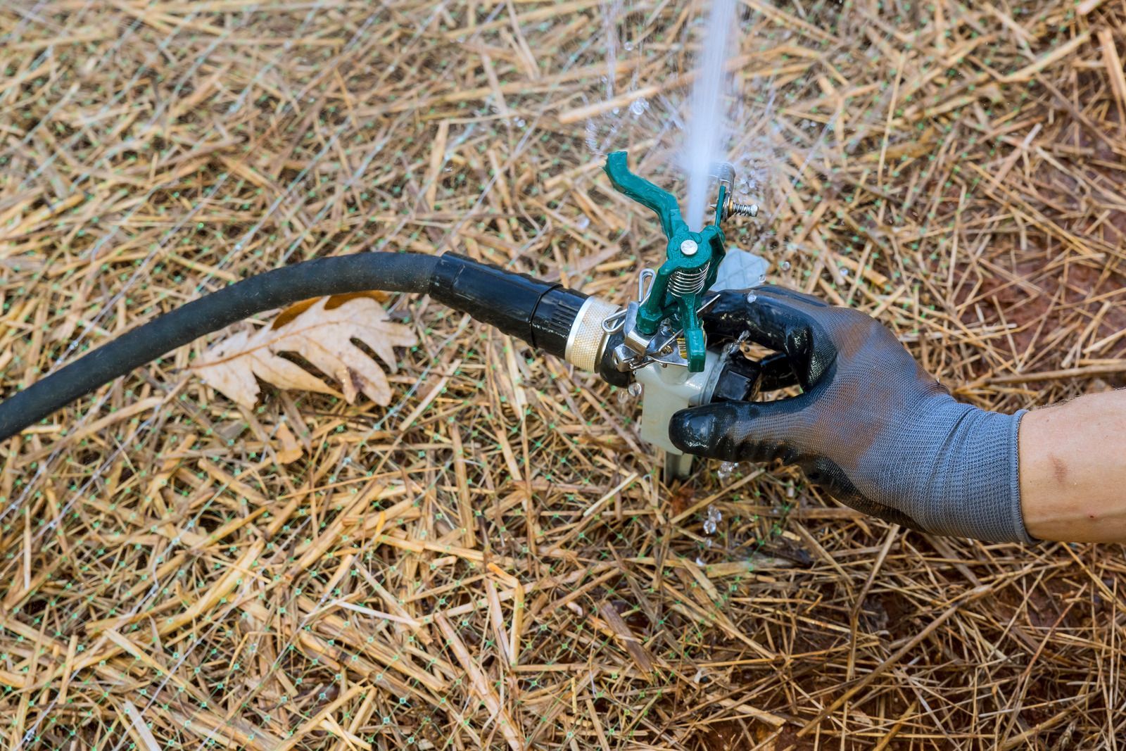 Person in glove squeezing a green hose nozzle, water spraying onto straw.