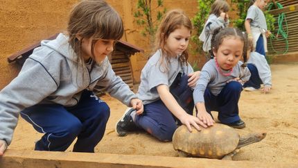 🎲 Jogo de Trilha na Educação Infantil: Aprendizado Divertido e