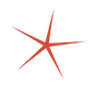 A red starfish on a white background.