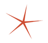 A red starfish on a white background.