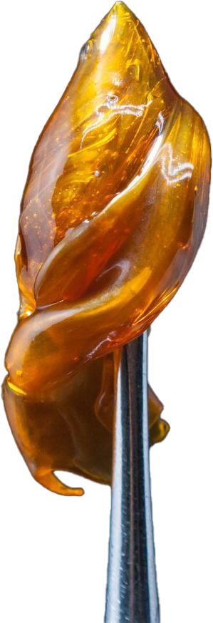 Open black jar filled with golden, crystalline cannabis concentrate.