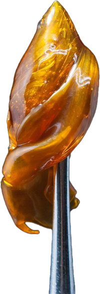 Open black jar filled with golden, crystalline cannabis concentrate.