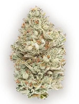 Close-up of a dense cannabis bud, showing a frosty appearance with green, orange, and white hues.