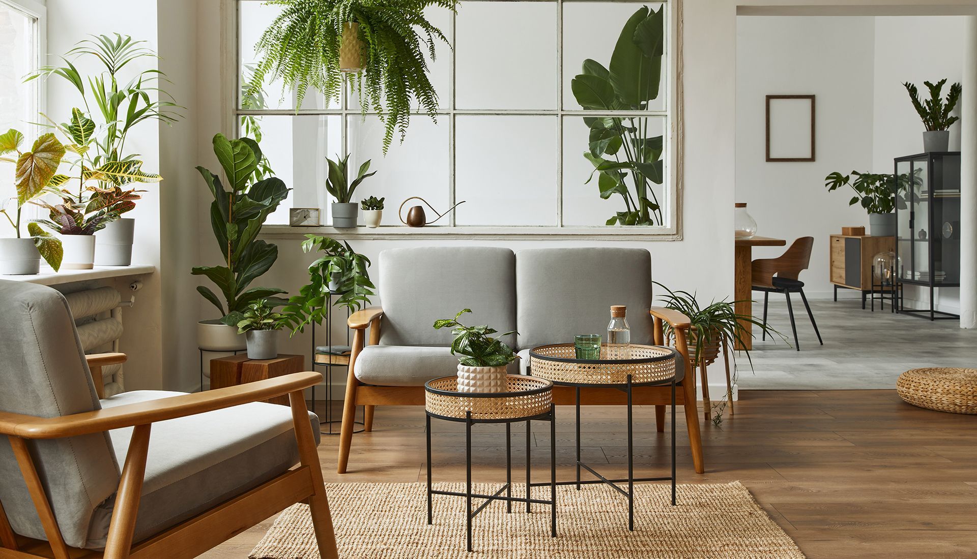 Living room with gray sofa, wooden chairs, and abundant plants.